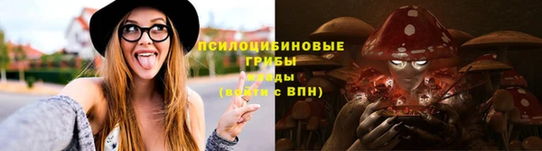 прущие крисы Фёдоровский